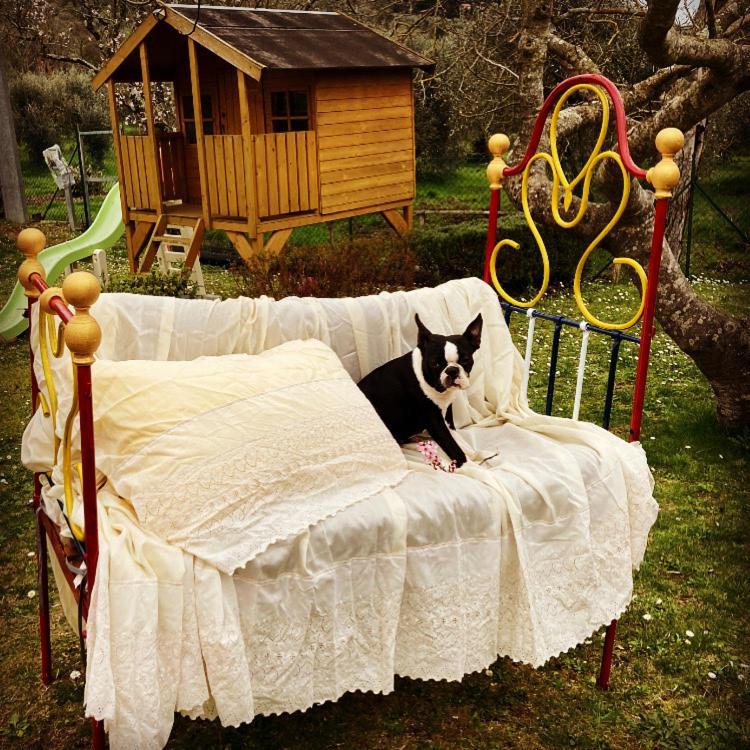 Гостьовий будинок Le Coccole Del Trasimeno Туоро-суль-Тразімено Екстер'єр фото