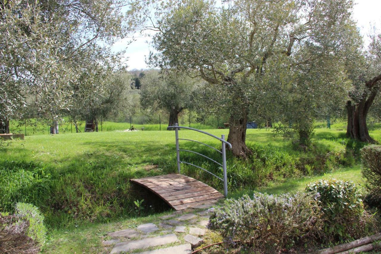 Гостьовий будинок Le Coccole Del Trasimeno Туоро-суль-Тразімено Екстер'єр фото