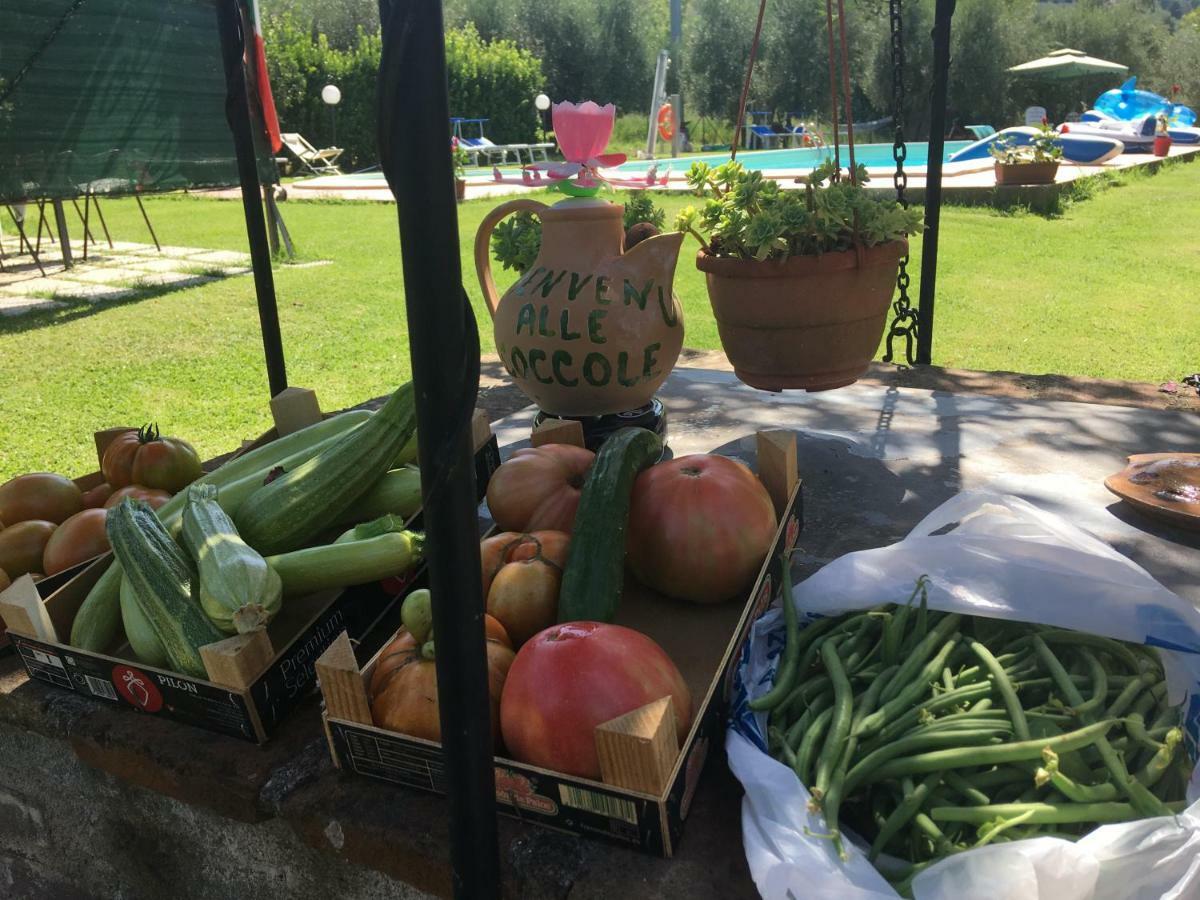 Гостьовий будинок Le Coccole Del Trasimeno Туоро-суль-Тразімено Екстер'єр фото