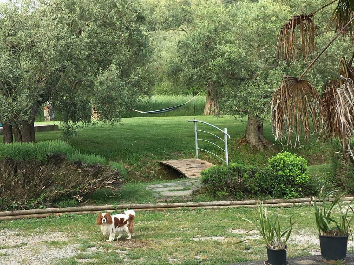 Гостьовий будинок Le Coccole Del Trasimeno Туоро-суль-Тразімено Екстер'єр фото