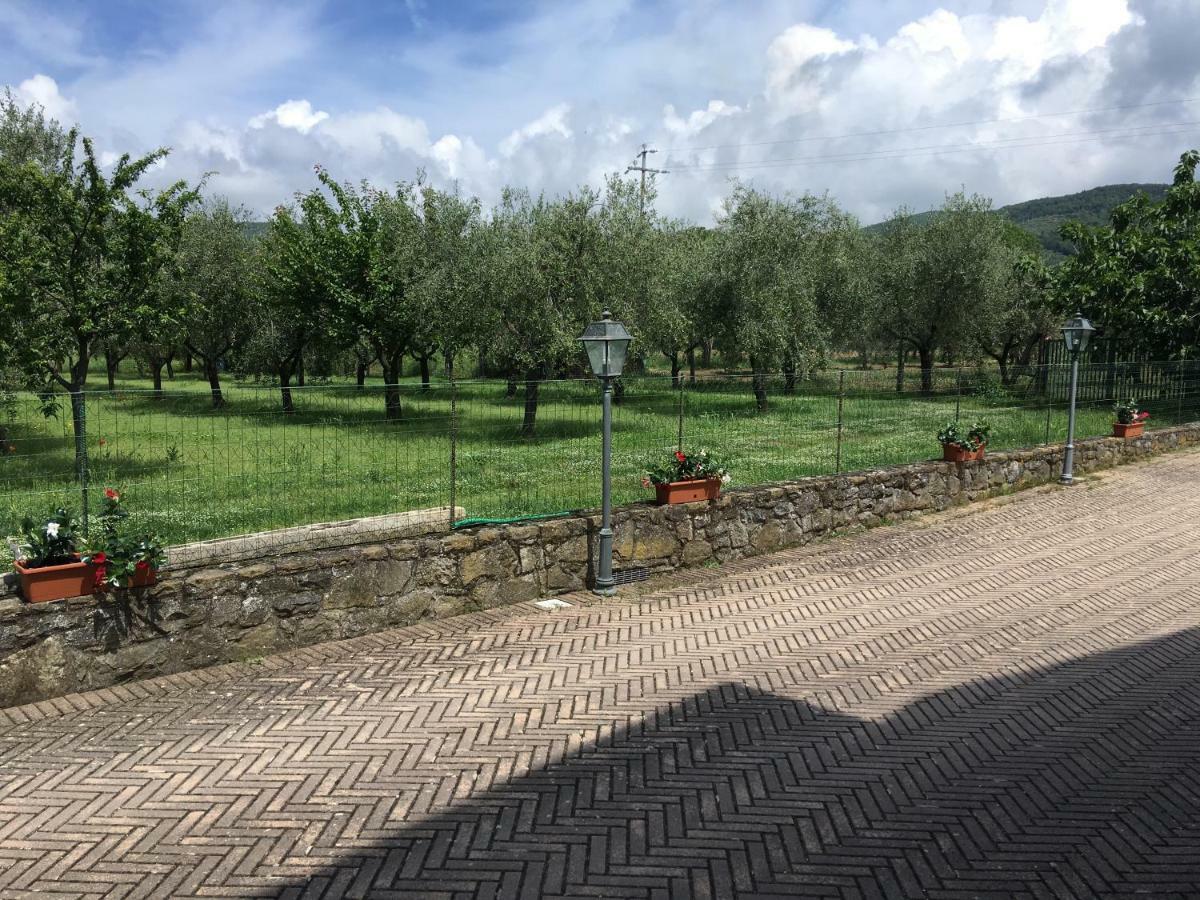 Гостьовий будинок Le Coccole Del Trasimeno Туоро-суль-Тразімено Екстер'єр фото